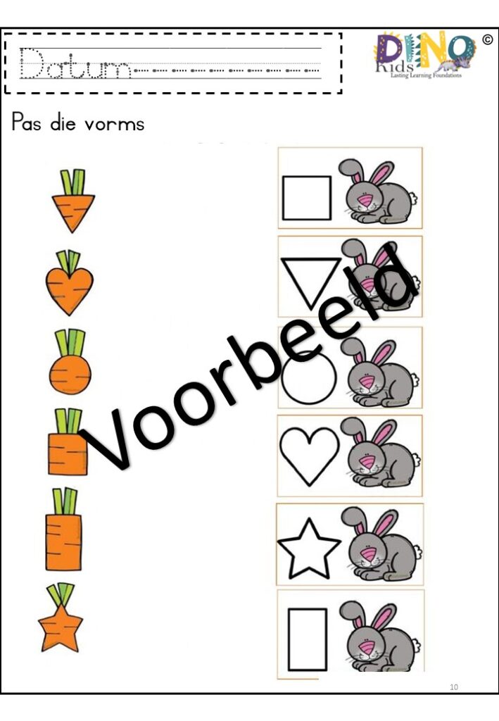 Practice Works Grade Rrr RRR Werkboek 3 – Dino Kids