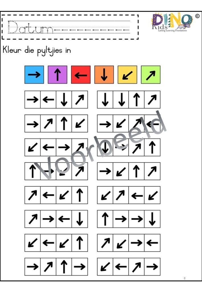 Graad R Trio – PDF – Dino Kids